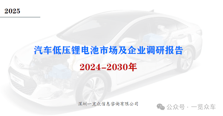 2024-2030年汽车低压锂电池市场及企业调研(图1) 2024-2030年汽车低压锂电池市场及企业调研(图1)